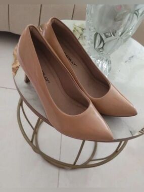 Pointed Toe Nude Pumps